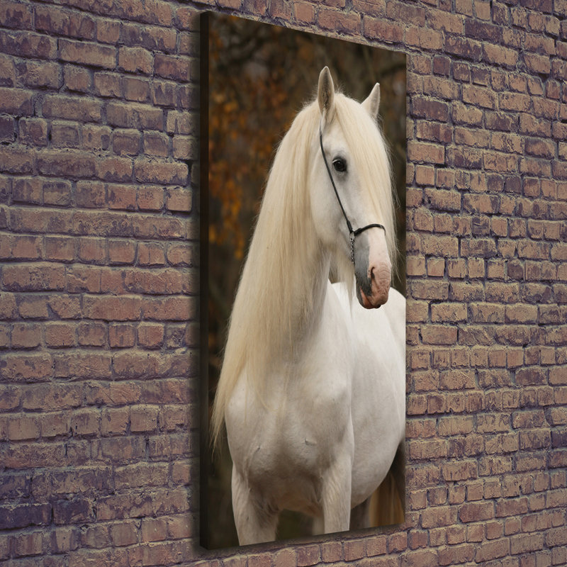 White Horse - Wrapped Canvas Print