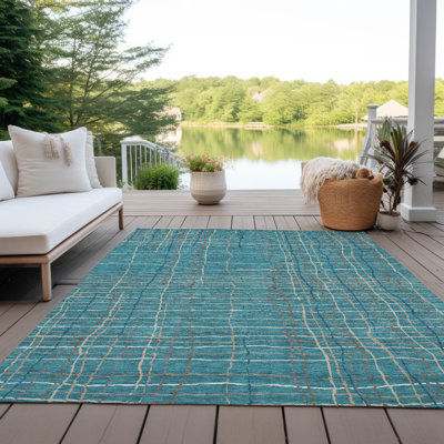 Machine Washable Indoor/Outdoor Chayden ACN998 Rug