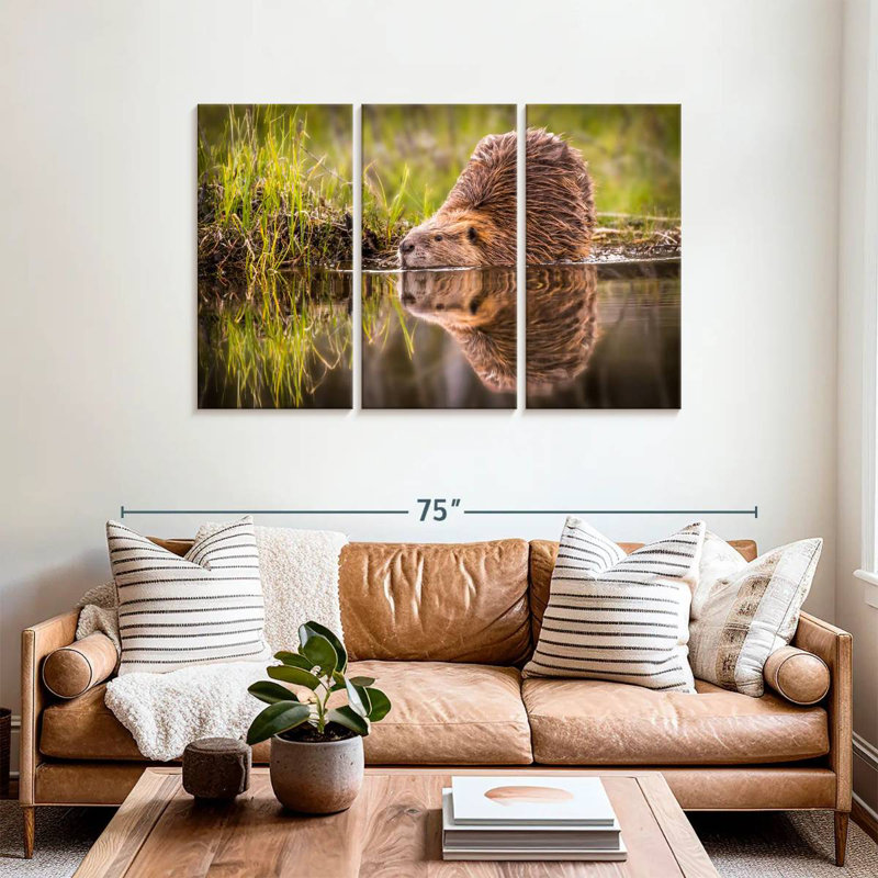 Brampt Beaver, 36" H x 57" W