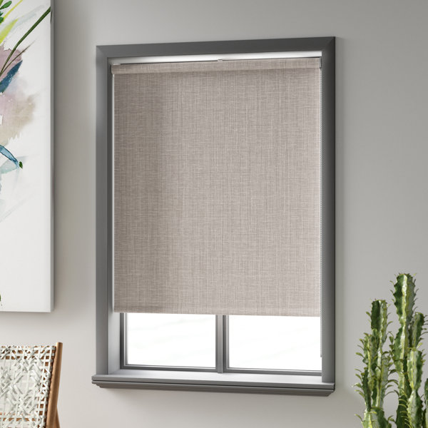 Symple Stuff Blackout Roller Shade & Reviews