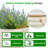 Pannu Metal D-Shaped Raised Garden Bed