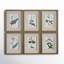 "Green Floral Botanical Study" - 6 Piece Art Set