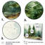 Minimalisme pin arbre forêt III - pin, art mural-511045748-511045747