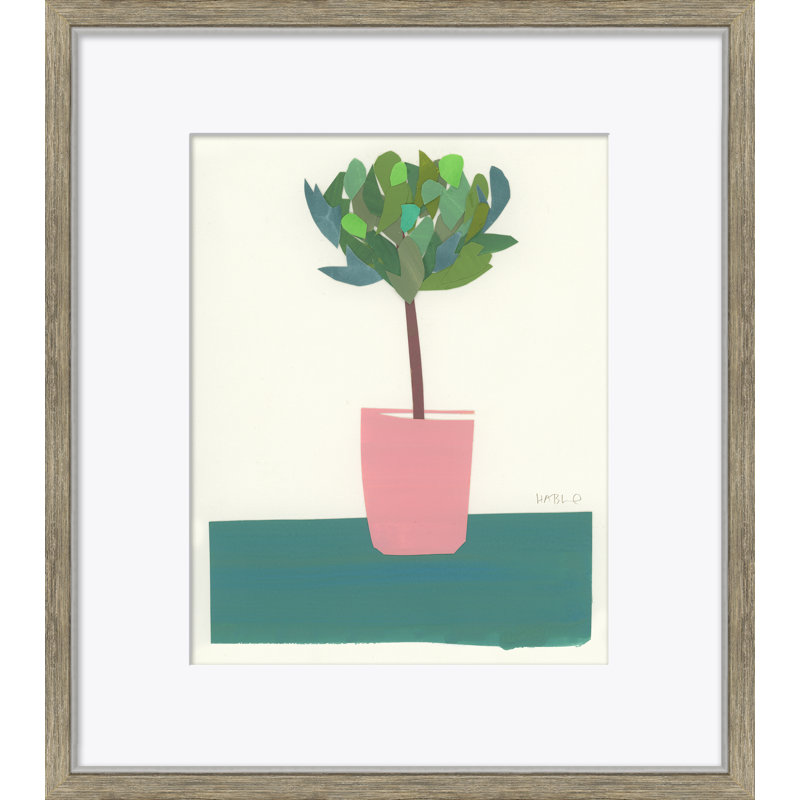 Still Life Series - Topiary Framed by Susan Hable