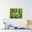 I Have Chosen Isaiah 43:10 - Wrapped Canvas Print-1577337459