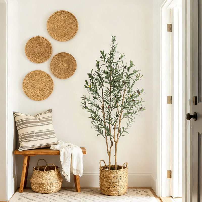 152cm Plant