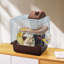 Mouse Cage