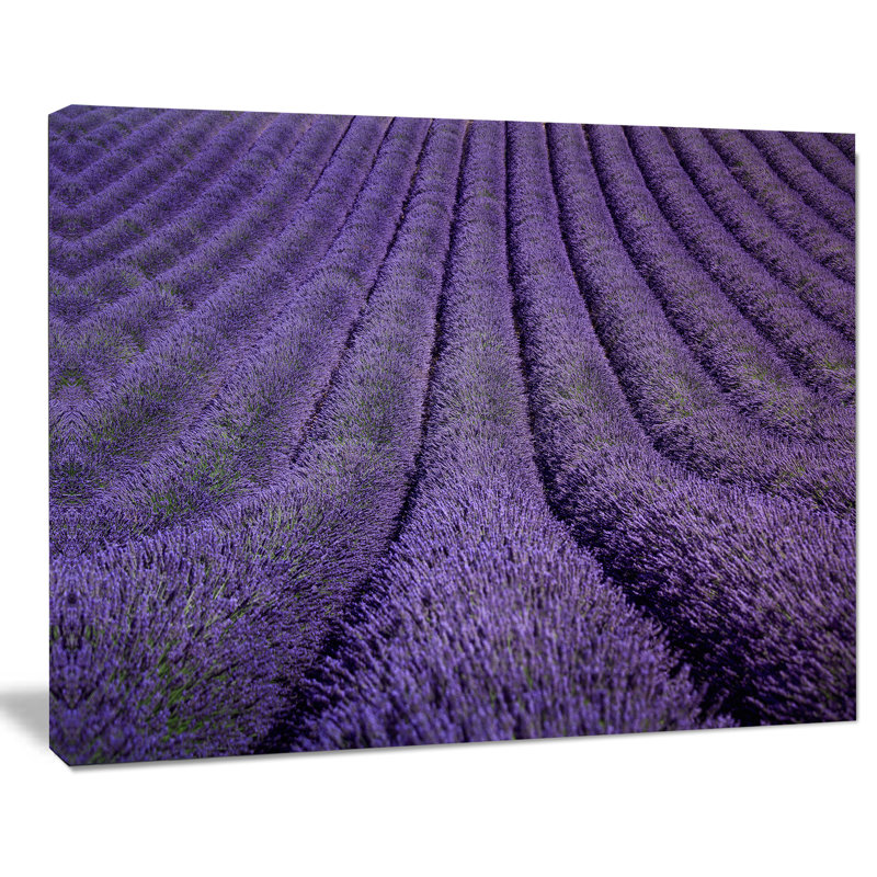 Texture florale lavande texture reproduction de photo sur toile tendue, H 30 po x l 40 po x P 1 po