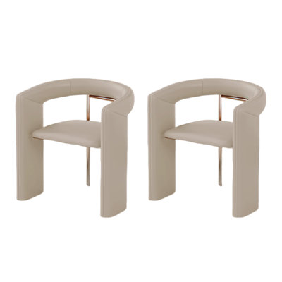 Modern Comfortable Texture Sponge Dining Chairs
