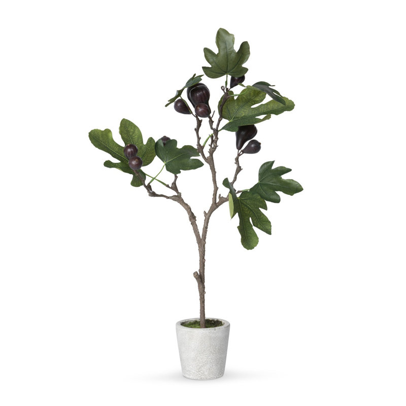 Faux Ficus Topiary in Pot