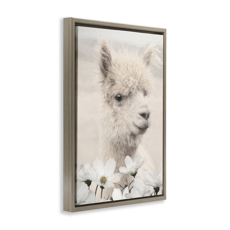 «Alpaca with White Blossoms», art mural encadré sur toile flottante dorée, design par Lori Deiter, H 25 po x l 17 po