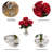 Silk Rose Arrangement in Vase-1692474156