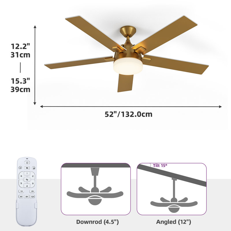 Ebern Designs 52" Gold Ceiling Fan 5 Blade Modern Large Reversible Ceiling Fan
