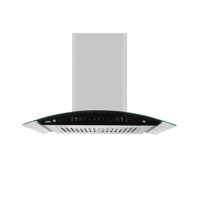 Hotte murale en acier inoxydable 30 po