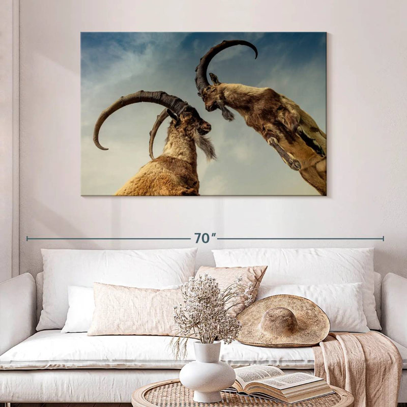Brampt Goat Clash, 32" H x 48" W