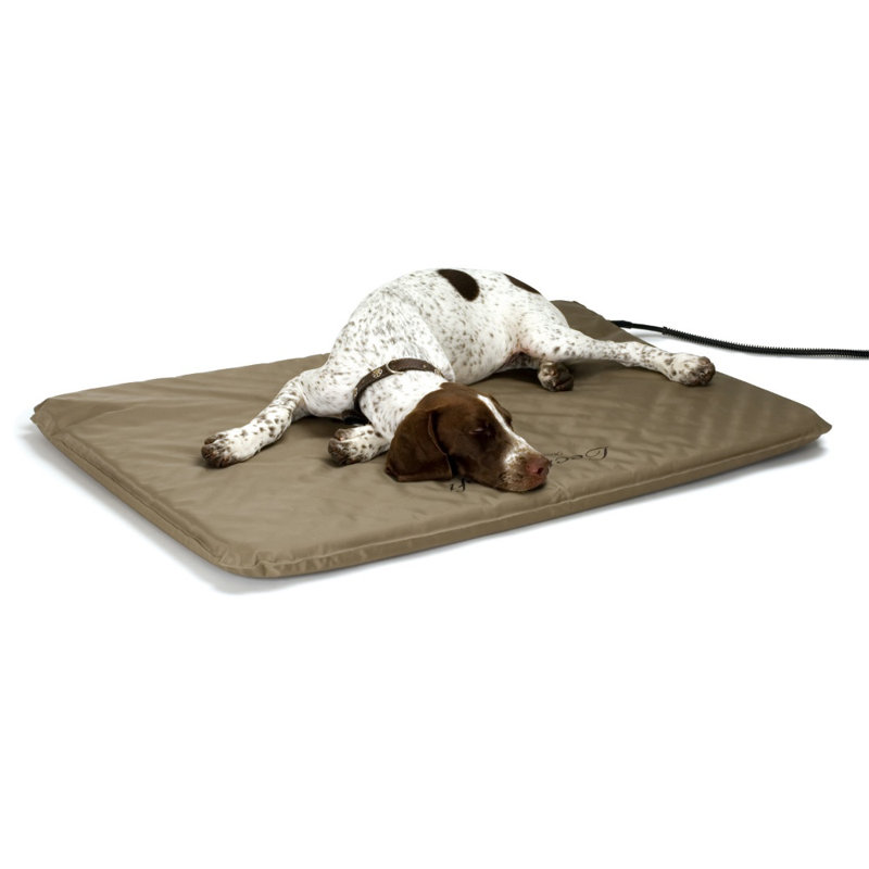 Coussin chauffant pour chien Lectro-Soft™, Grand (l 36 po x P 25 po x H 1,5 po)