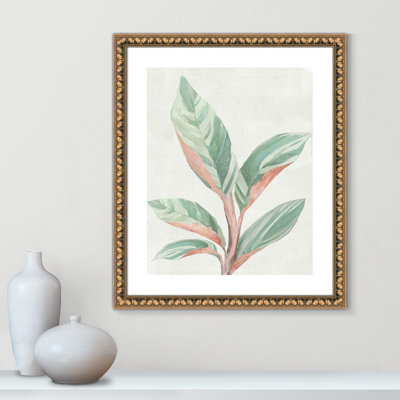 Gingembre II - reproduction d'art