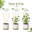 Treillis en bois de 60 cm (2 pi), ensemble de 12 – Support pour plantes grimpantes et en pot