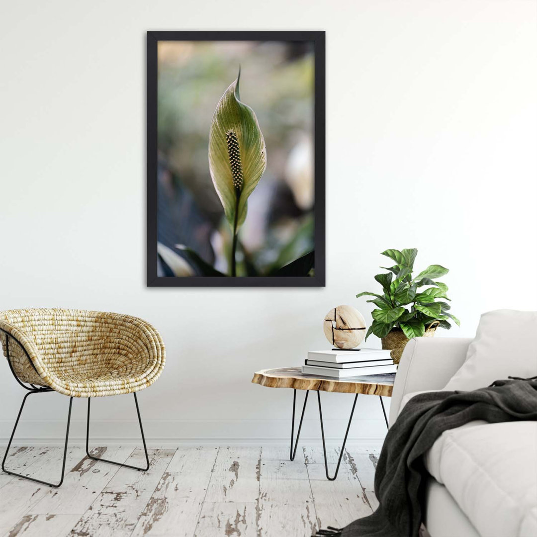 Gerahmtes Poster Intriguing Exotic Plant