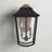 Burton 2-Light Outdoor Wall Lantern