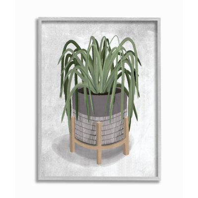 «Amical Spider Plant Grey Green» par House Fenway - impression d'art graphique