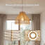 23cm H Plastic / Acrylic Dome Lamp Shade ( Spider ) in Brown