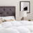 Lucid All-Season Down Alternative Comforter with Duvet Loops and Box Stitching, White, King-160939098-162298161