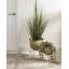 Beamon Metal Pot Planter - Set of 2-2058777832