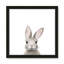 Art encadré en lapins forestières-48188938-48188939