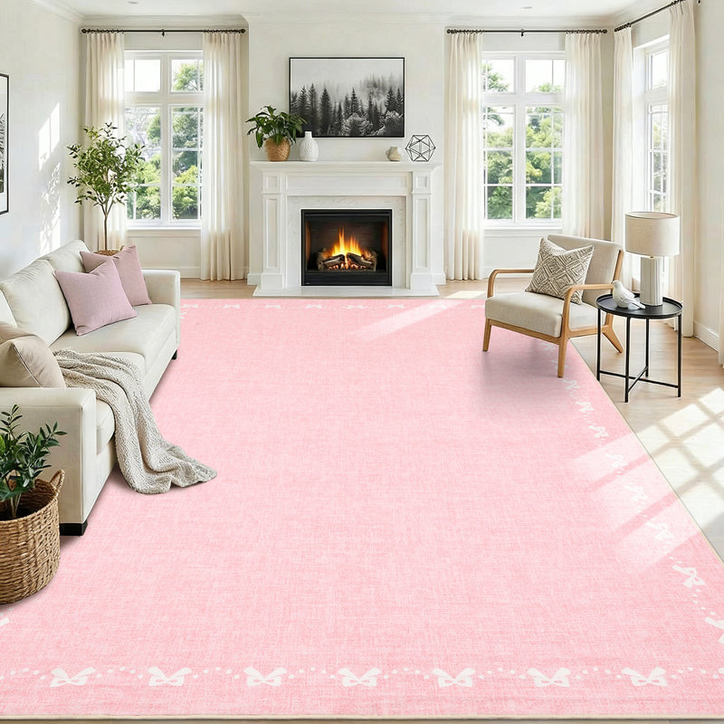 Area Rug Indoor Outdoor, Non Slip, Washable, mark Resistant, Non Shedding Carpet for Entryway, Kitchen, Bedroom, Living Room