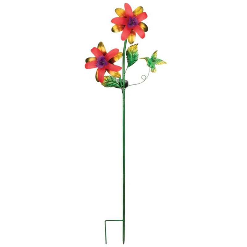 Piquet solaire fantaisie, Fuchsia