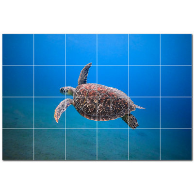 Picture-Tiles.com PT501070-64XL