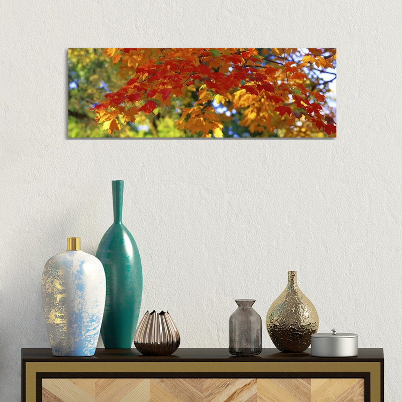 Fall Foliage, Guilford, Baltimore City, Maryland, USA - Wrapped Canvas Panoramic Print, 30.48 cm H x 91.44 cm W x 1.91 cm D