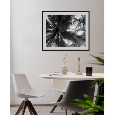 Palm - Single Picture Frame Print
