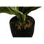 Fausse plante en polypropylène (PP) Maraca 17 po Marrero