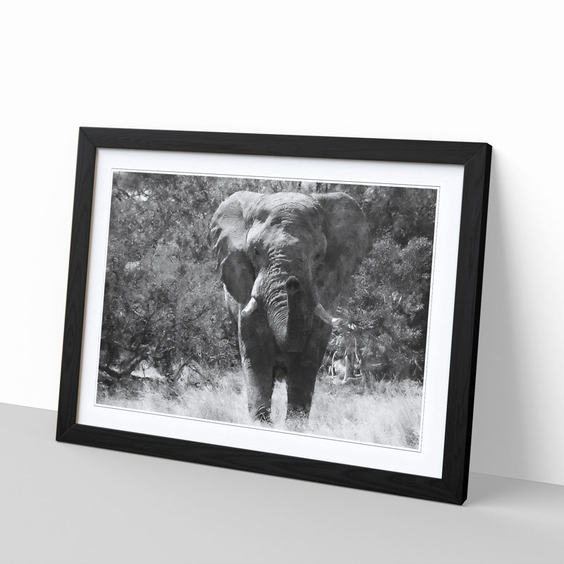 The Majestic Elephant - Framed Print, 24cm H x 33cm W x 2cm D, Black