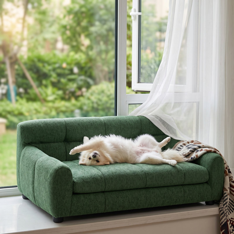 Rectangular Pet Sofa with Supportive Backrest, Curved Armrests & Low-Profile Legs – Comfortable Elevated Pet Couch for Small and Medium-Sized Dogs