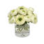 Ranunculus In Vase