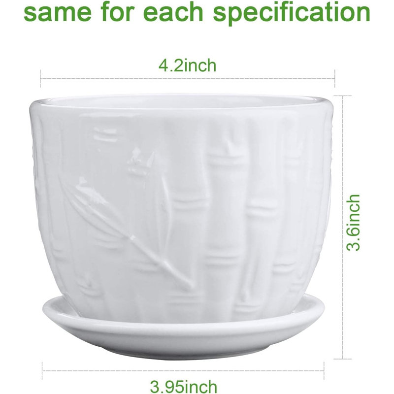 Ceramic Planter