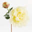 21-Inch Peony Stem-802925541