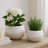 Chic Round Planters for House Plants, Flower Pots, or Garden Displays – Stylish Indoor Planter and Outdoor Planter with Textured Ceramic Design – Modern Plant Pot and Decorative Planter for Patio or Room – Set of 2, 12", White & Tan