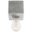 Ariz Flush Mount-1473590496