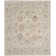 Louque Oriental Indoor Rug