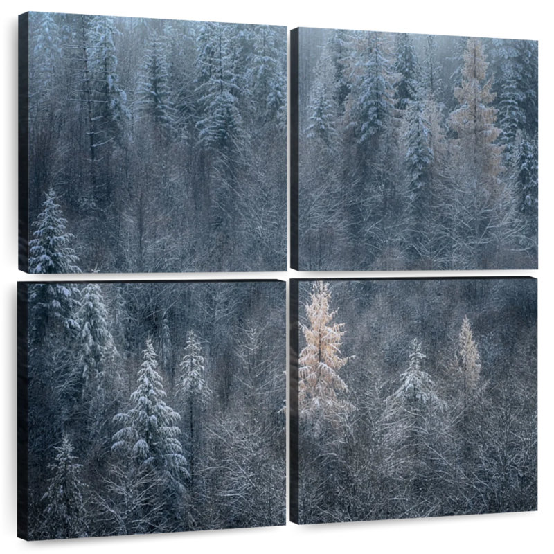 Alvord First Snow I