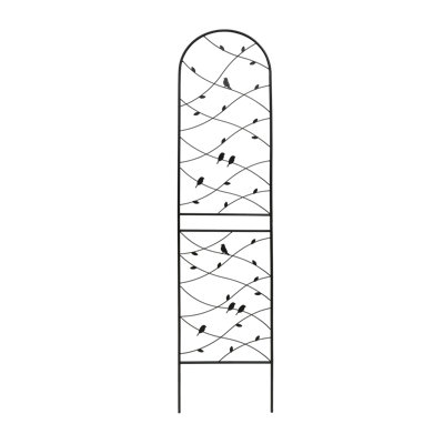 Rustproof Metal Trellis Elegant Black Outdoor Support For Climbing Plants