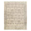 Oriental Area Rug in Gray
