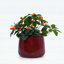 Ensemble de 4 pots de fleurs faits à la main en céramique, glaçure rouge foncé moucheté, argile respirante pour une utilisation intérieure et extérieure