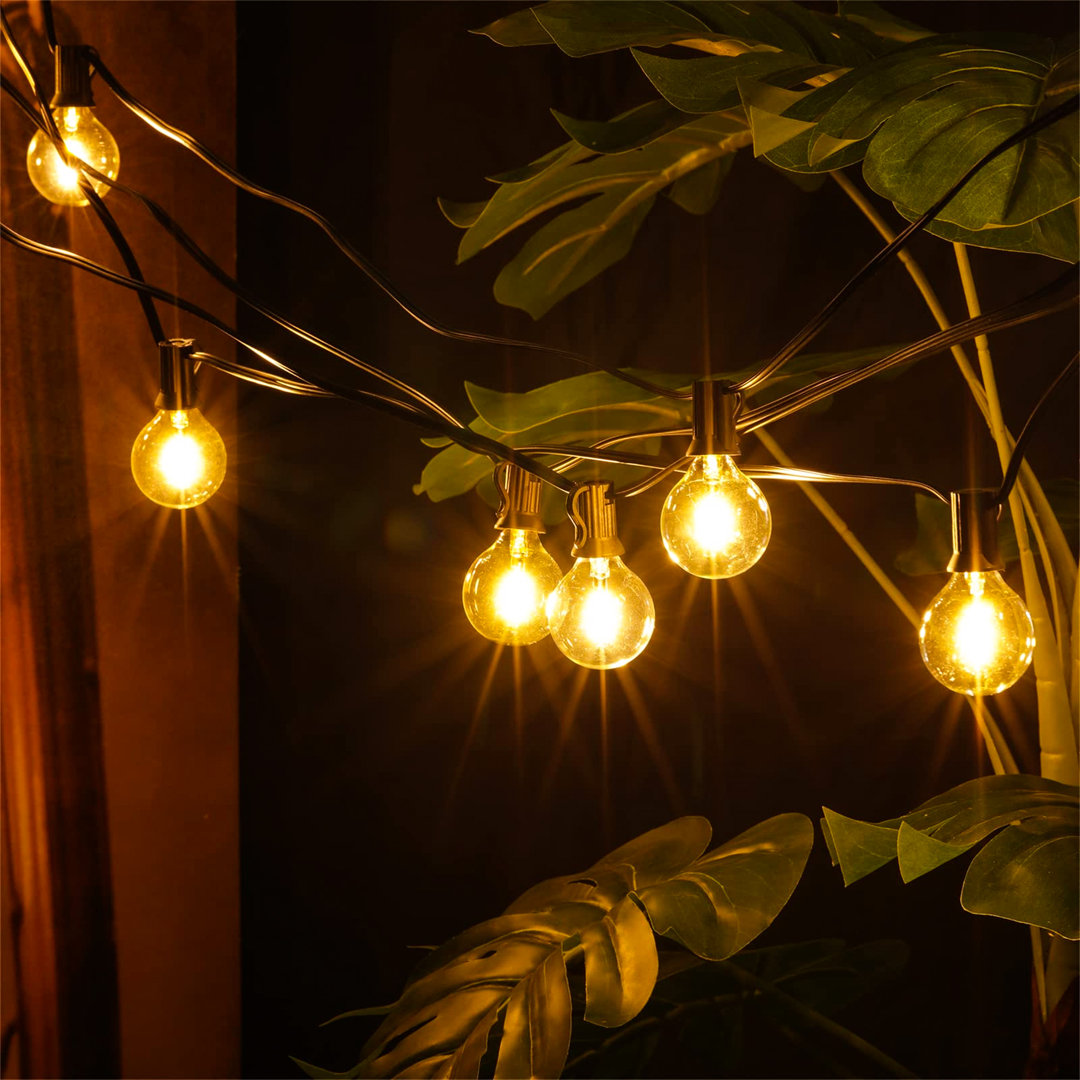 Aliva 1158.2cm 18 - Bulb Festoon Lights String Light (End to End Connectable)