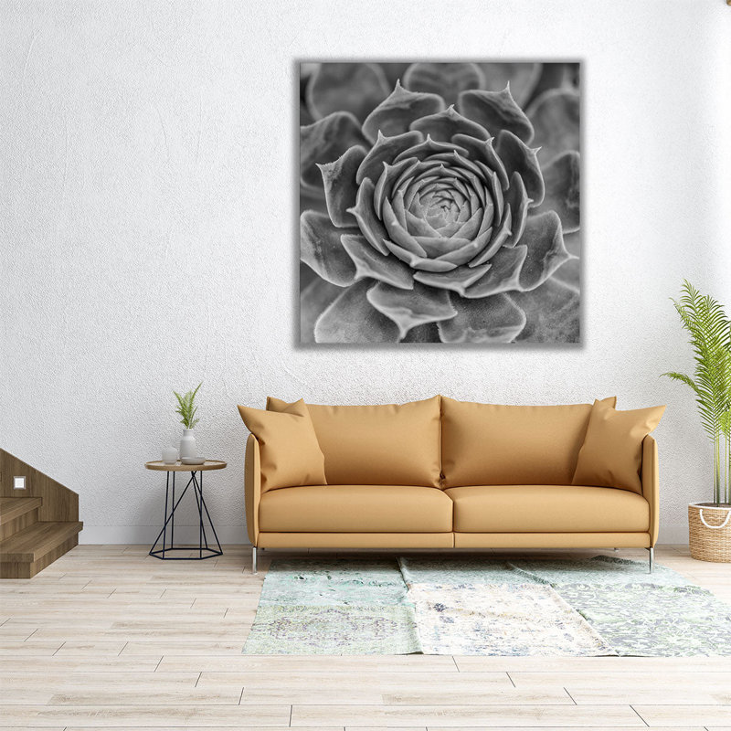 Succulent Plant - Canvas Print Wall Art, 12" H x 12" W