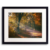 Autumn Path Print by Scott Norris